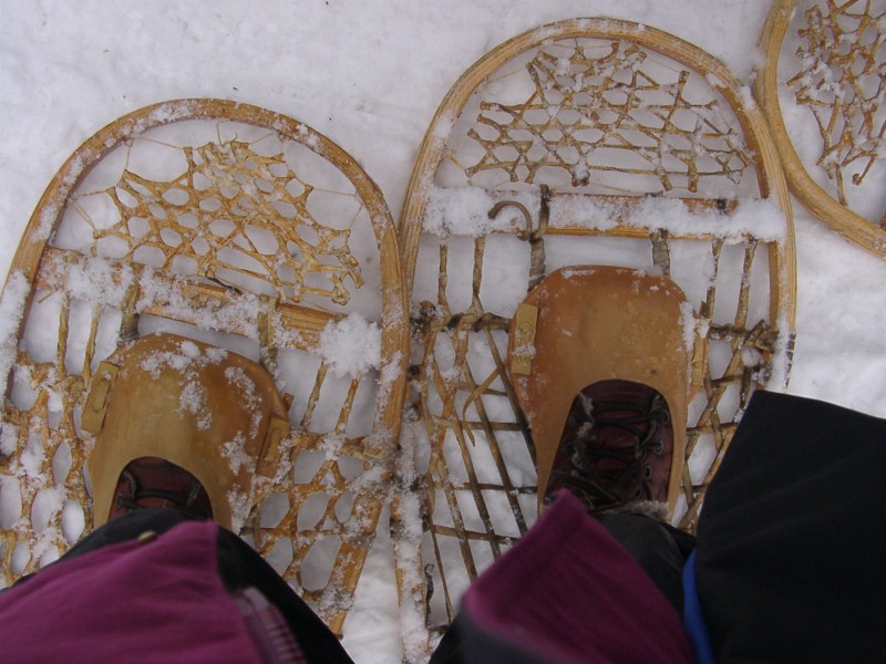 Snowshoes