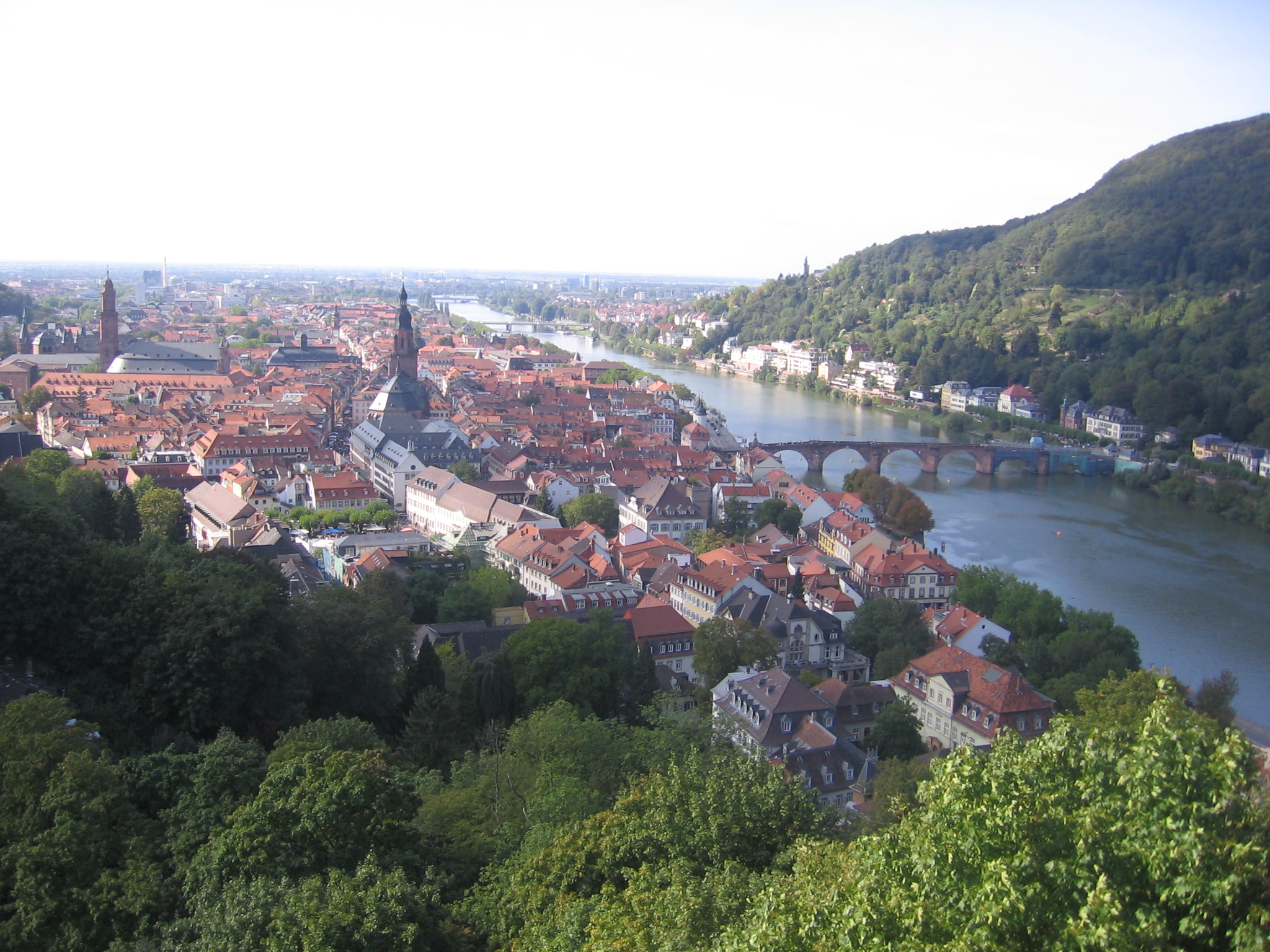 View of Heidelberg