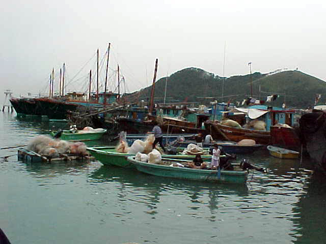Junks Outside TAI O Village - small fishing boats bring catch from the junks.