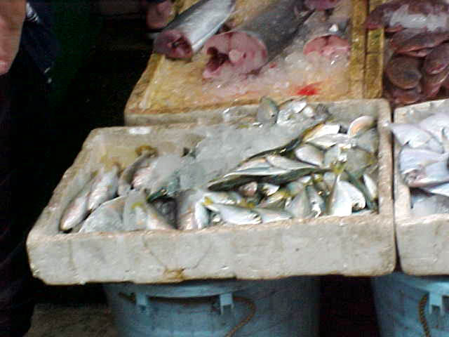 Fresh fish from the street market.