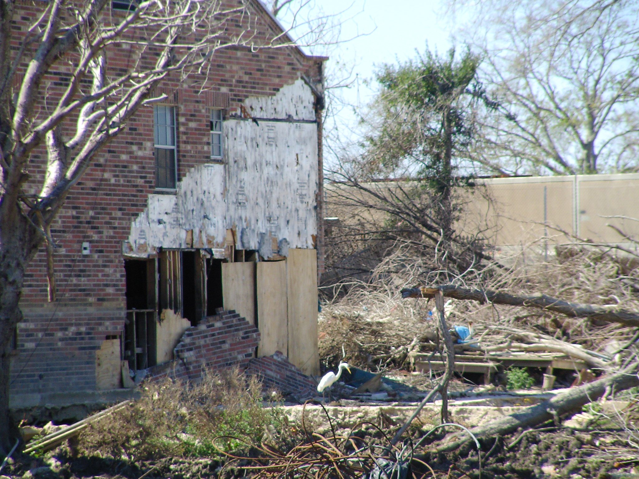 17th Street - post Hurricane Katrina
