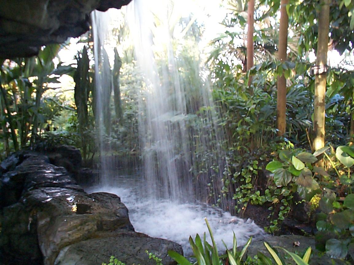 Water Fall