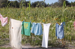 Laundry on the line