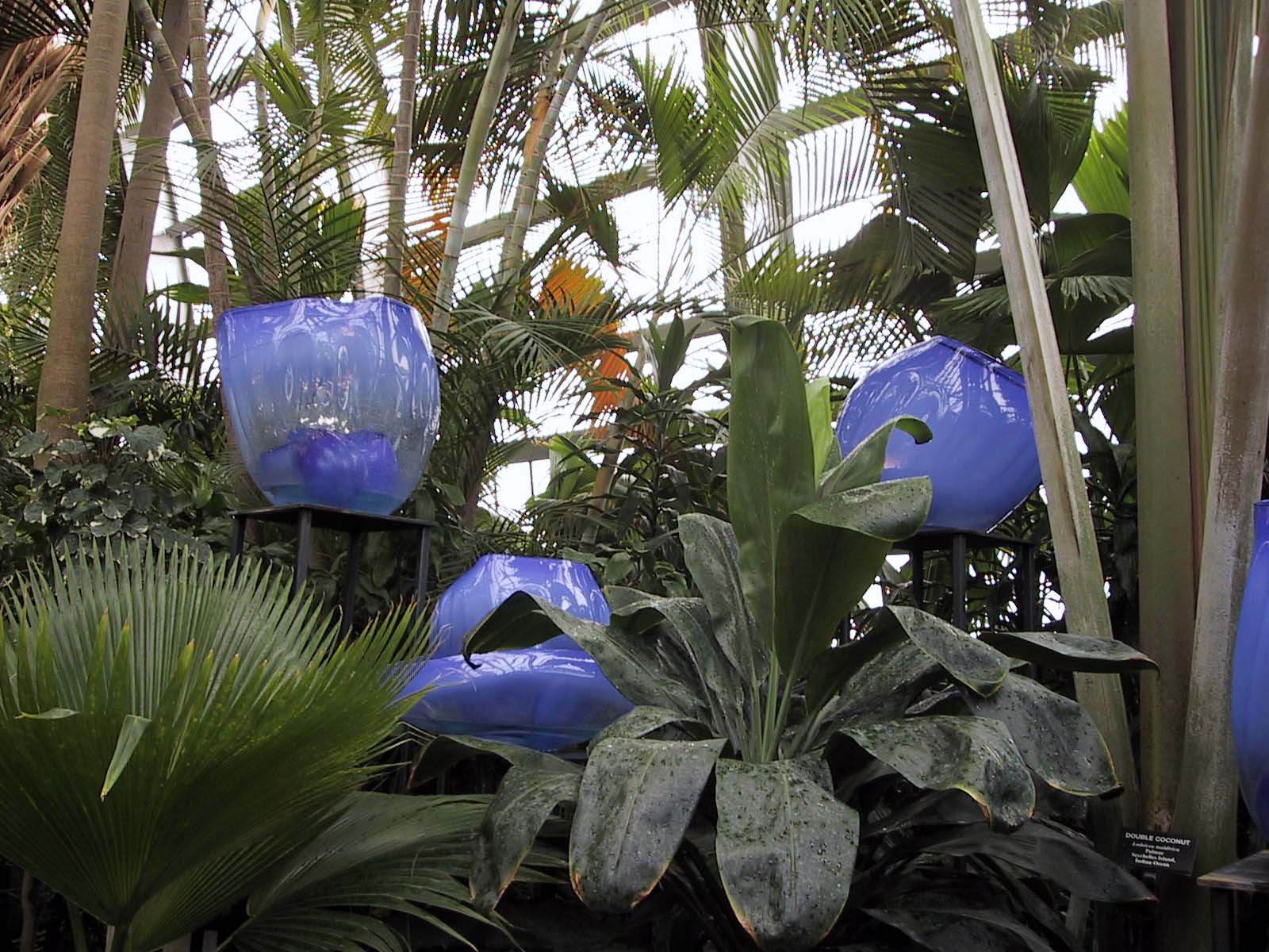 From the Chihuly in the Park: A Garden of Glass at Garfield Park, Chicago