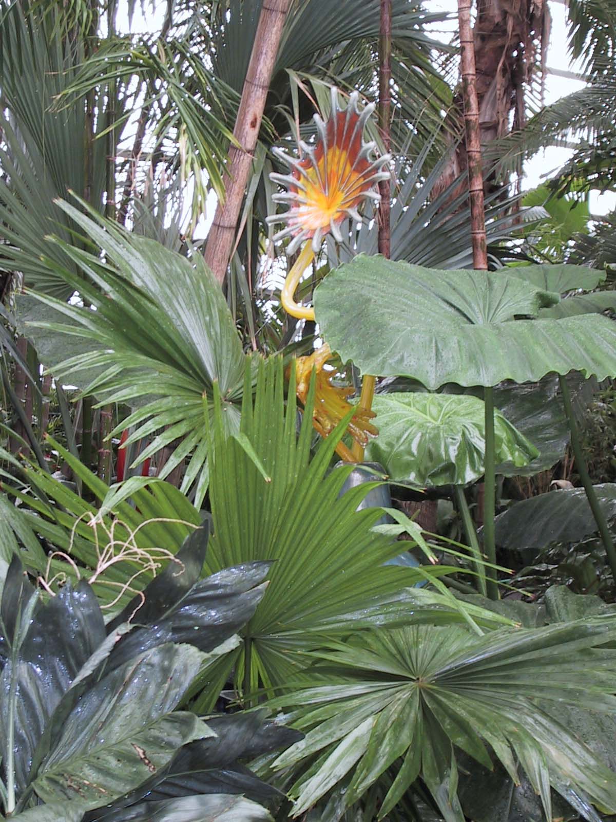 From the Chihuly in the Park: A Garden of Glass at Garfield Park, Chicago