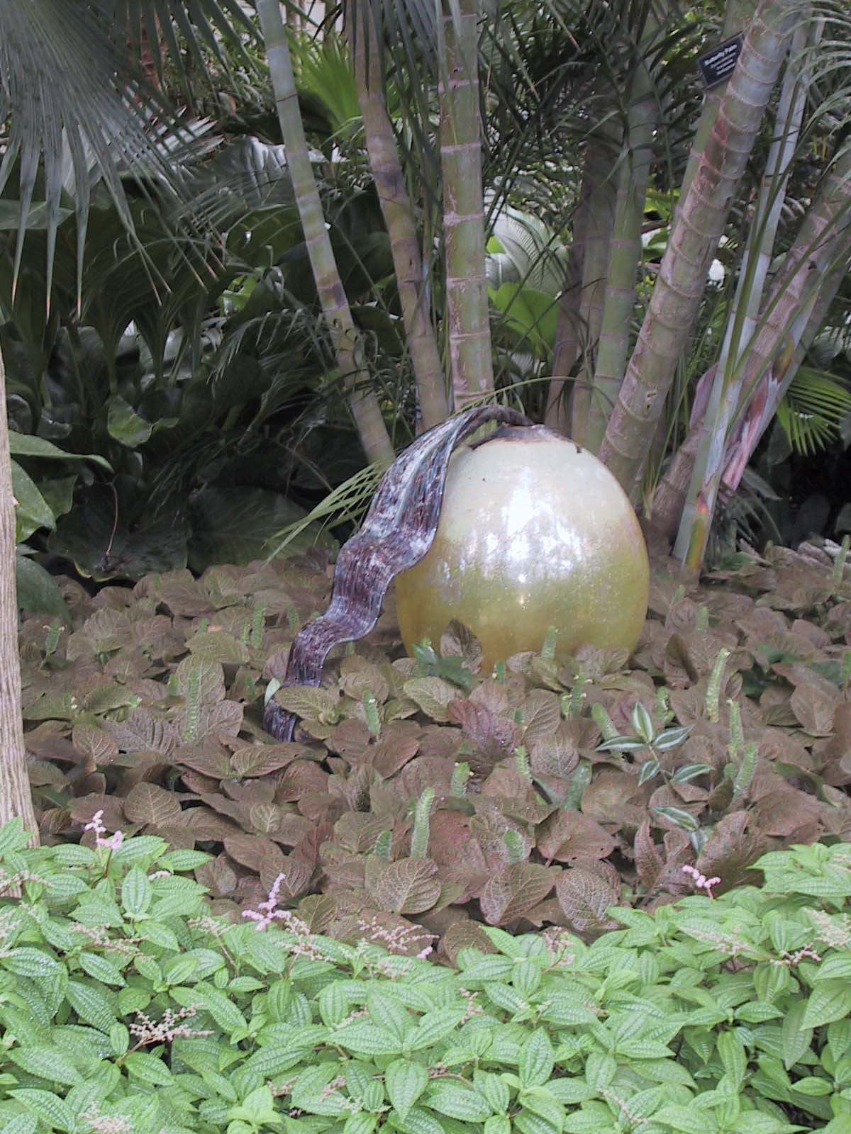 From the Chihuly in the Park: A Garden of Glass at Garfield Park, Chicago