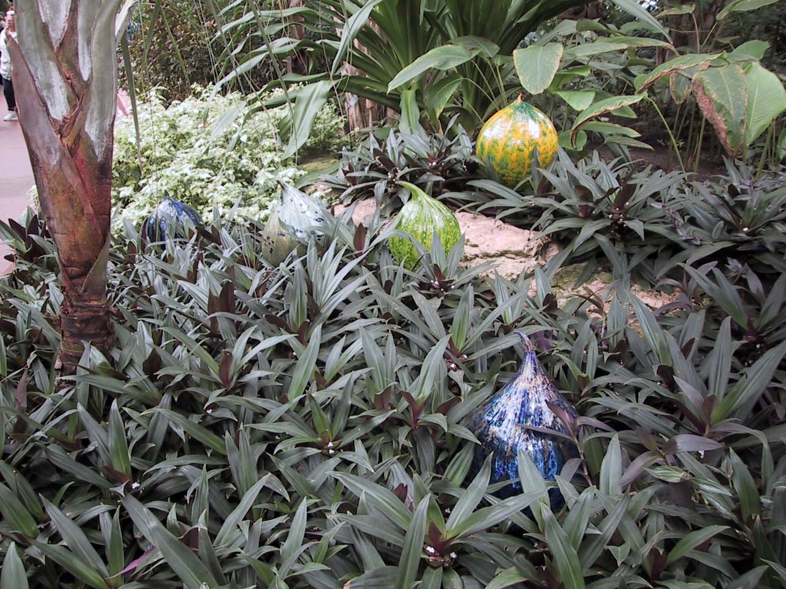 From the Chihuly in the Park: A Garden of Glass at Garfield Park, Chicago