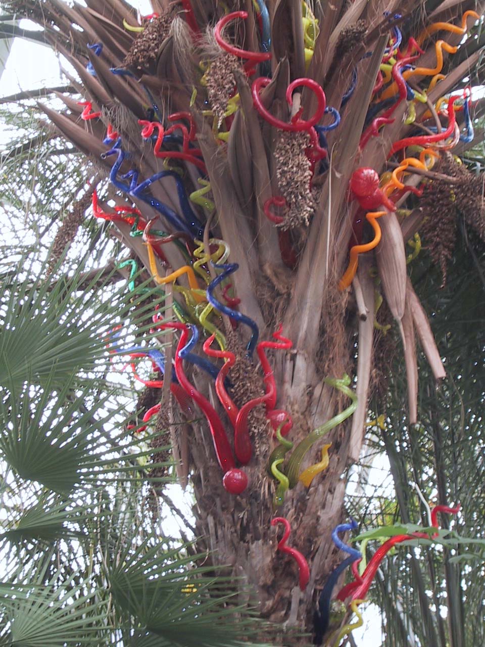 From the Chihuly in the Park: A Garden of Glass at Garfield Park, Chicago