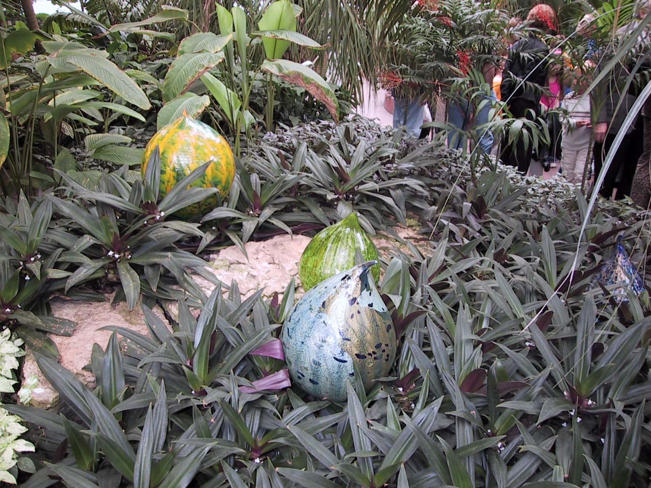 From the Chihuly in the Park: A Garden of Glass at Garfield Park, Chicago