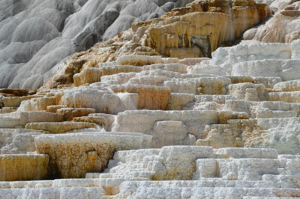Palette spring at Mammoth springs