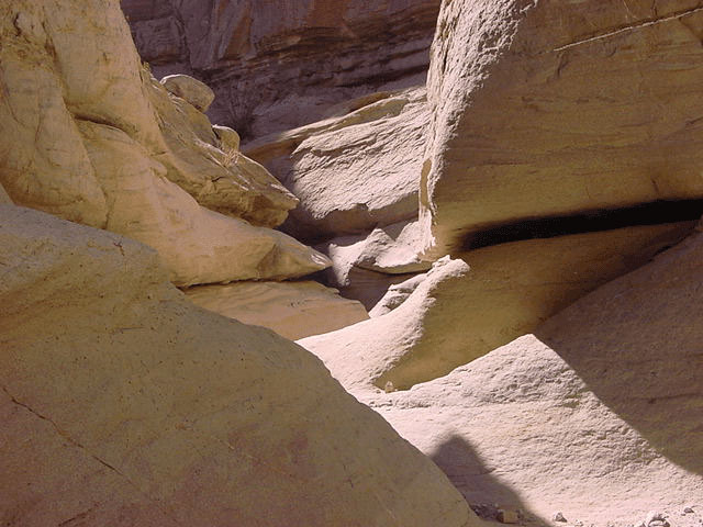abpalmwash2.jpg