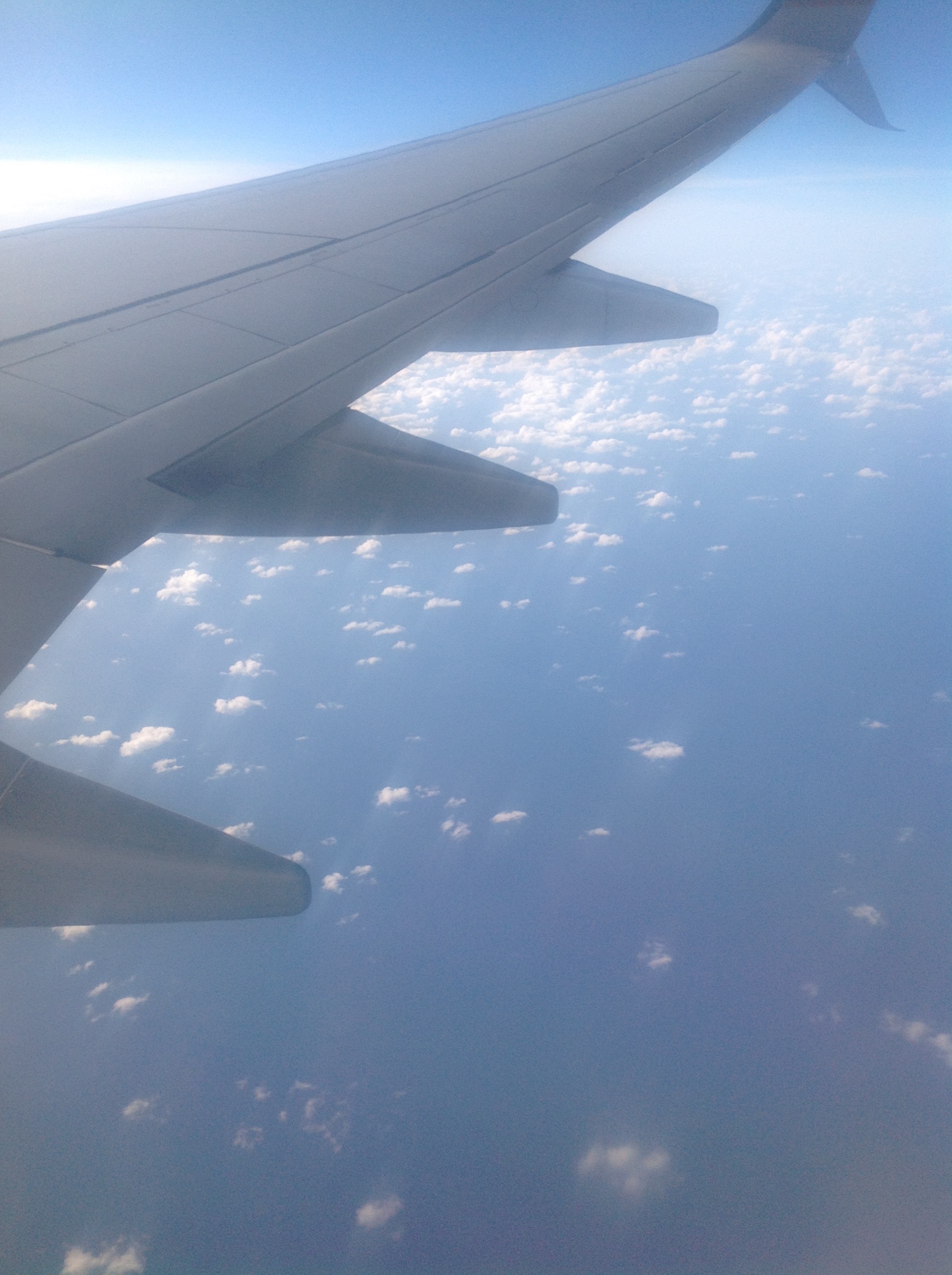 Airplane Wing