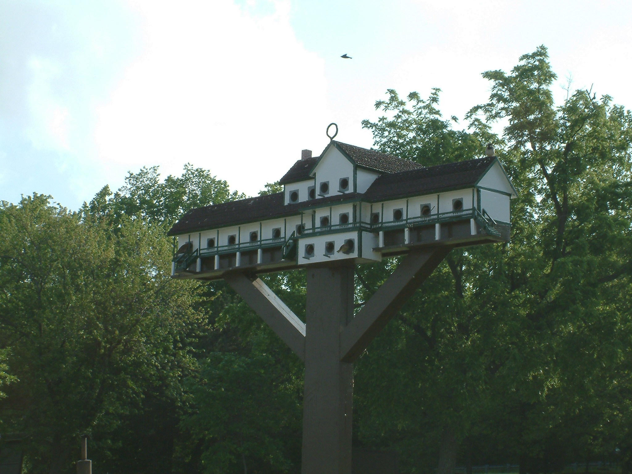 Birdhouse at Anderson Lake - State Fish and Wildlife Area