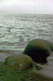 antar038.jpg