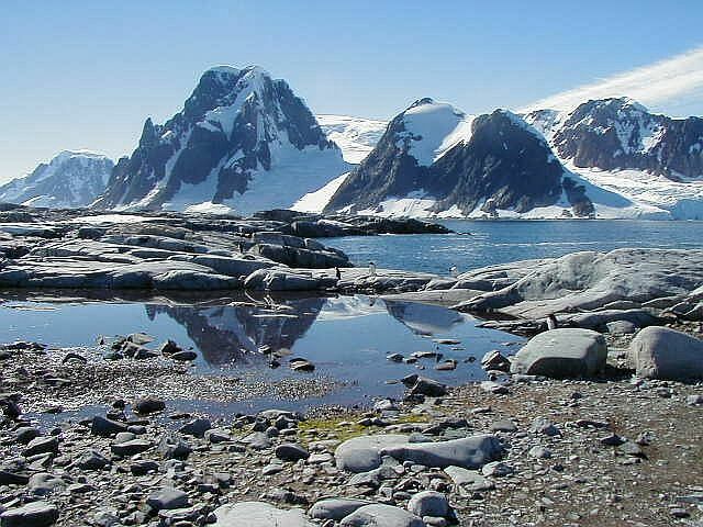 Antarctic Scene w/ penguins