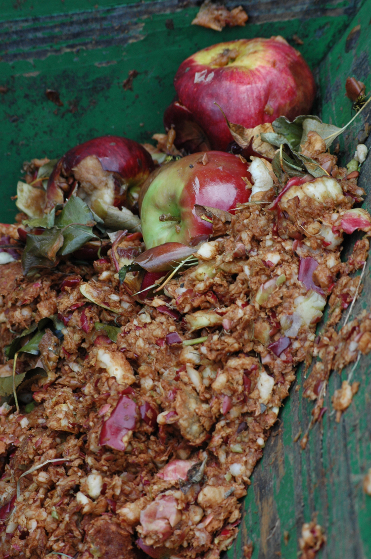 Apple Pulp from Cider Press