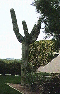 "crypto trading 24/7"