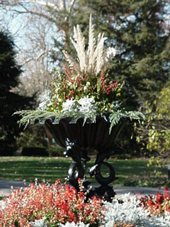 outdoor flower arrangement