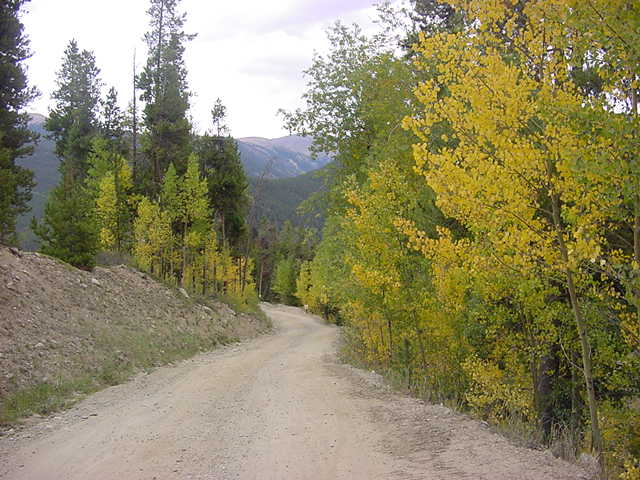 aspen2.jpg
