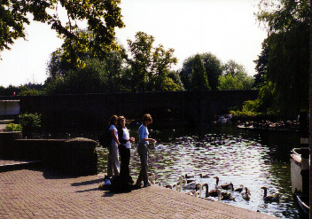 Feeding the ducks and geese on Avon River - Murray Family Vacation