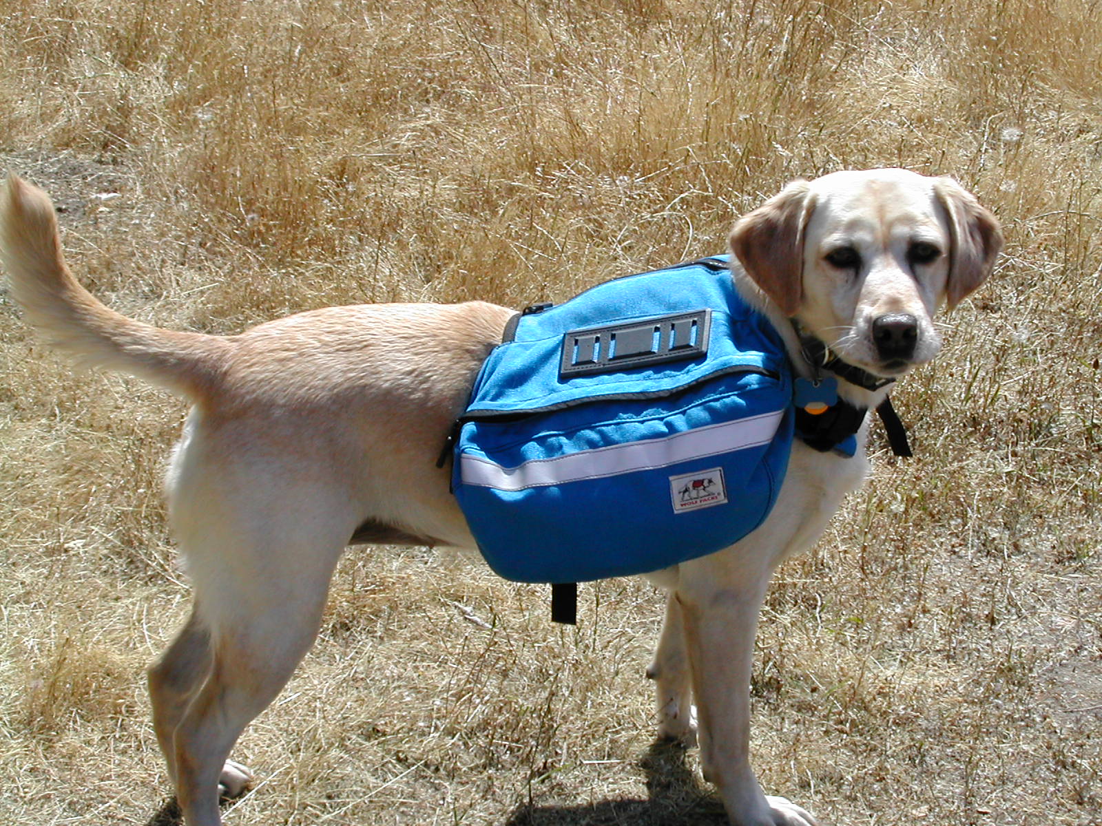 Delilah wears her own backpack