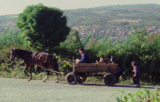 Horse cart Belgrade Yugoslavia