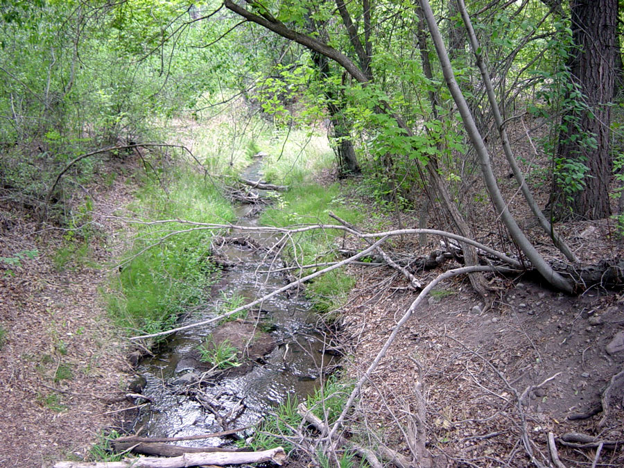 The Frijoles Creek is a year-round source of water in this area with very little rain.