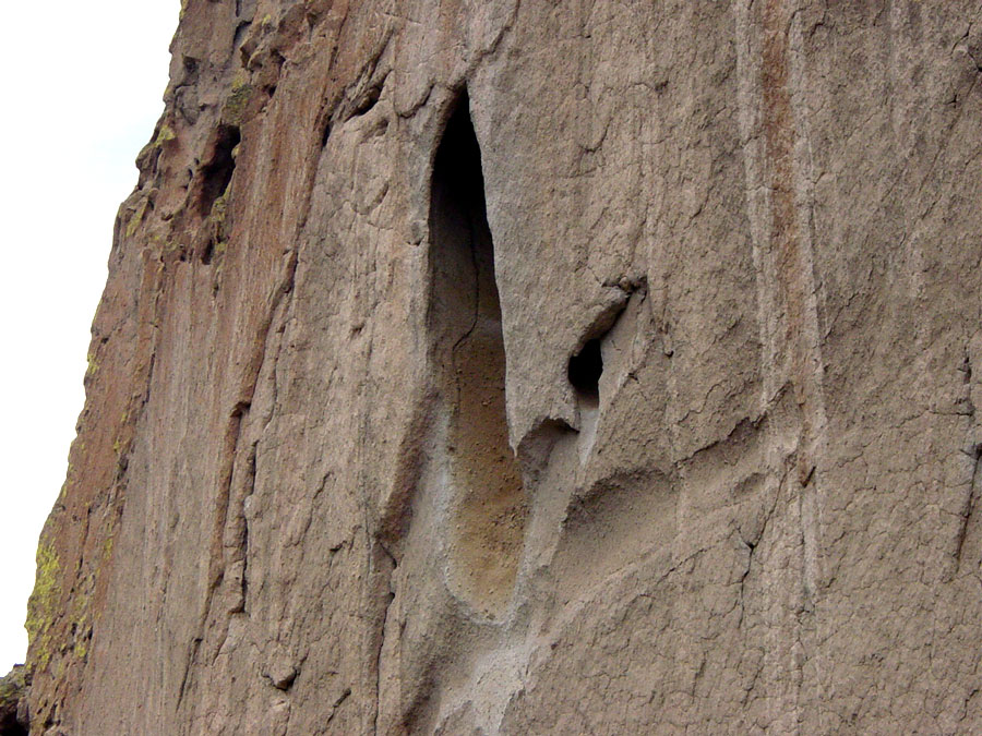 This long vertical tube-like cave serves as shelter to tens of thousands of insect-eating Mexican freetailed and brown bats.