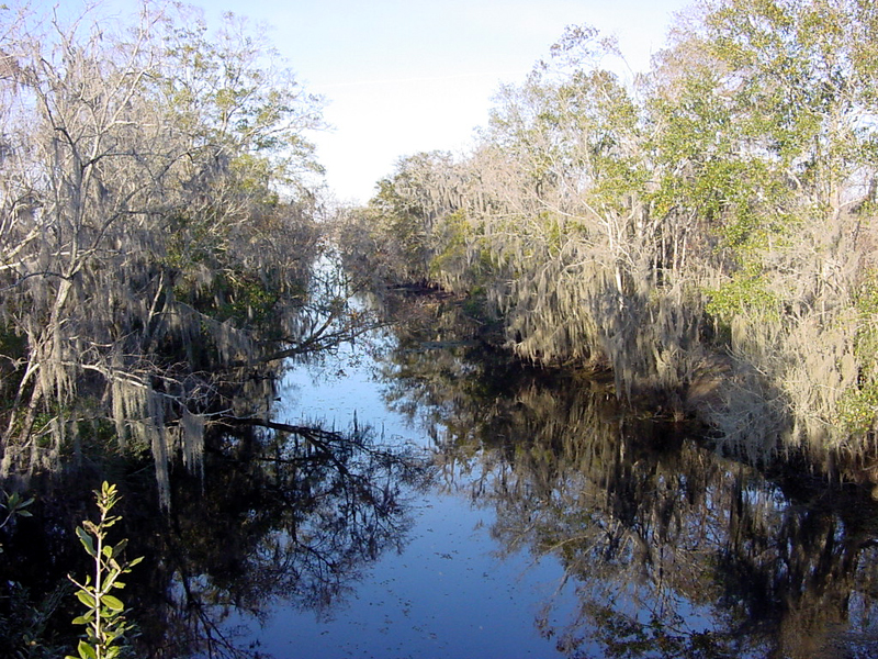 Canal at the Barataria Preserve