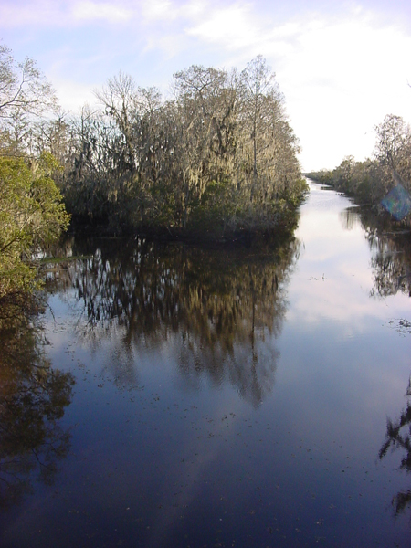 Canal at the Barataria