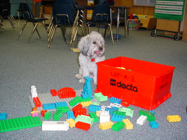 Barnaby and Legos