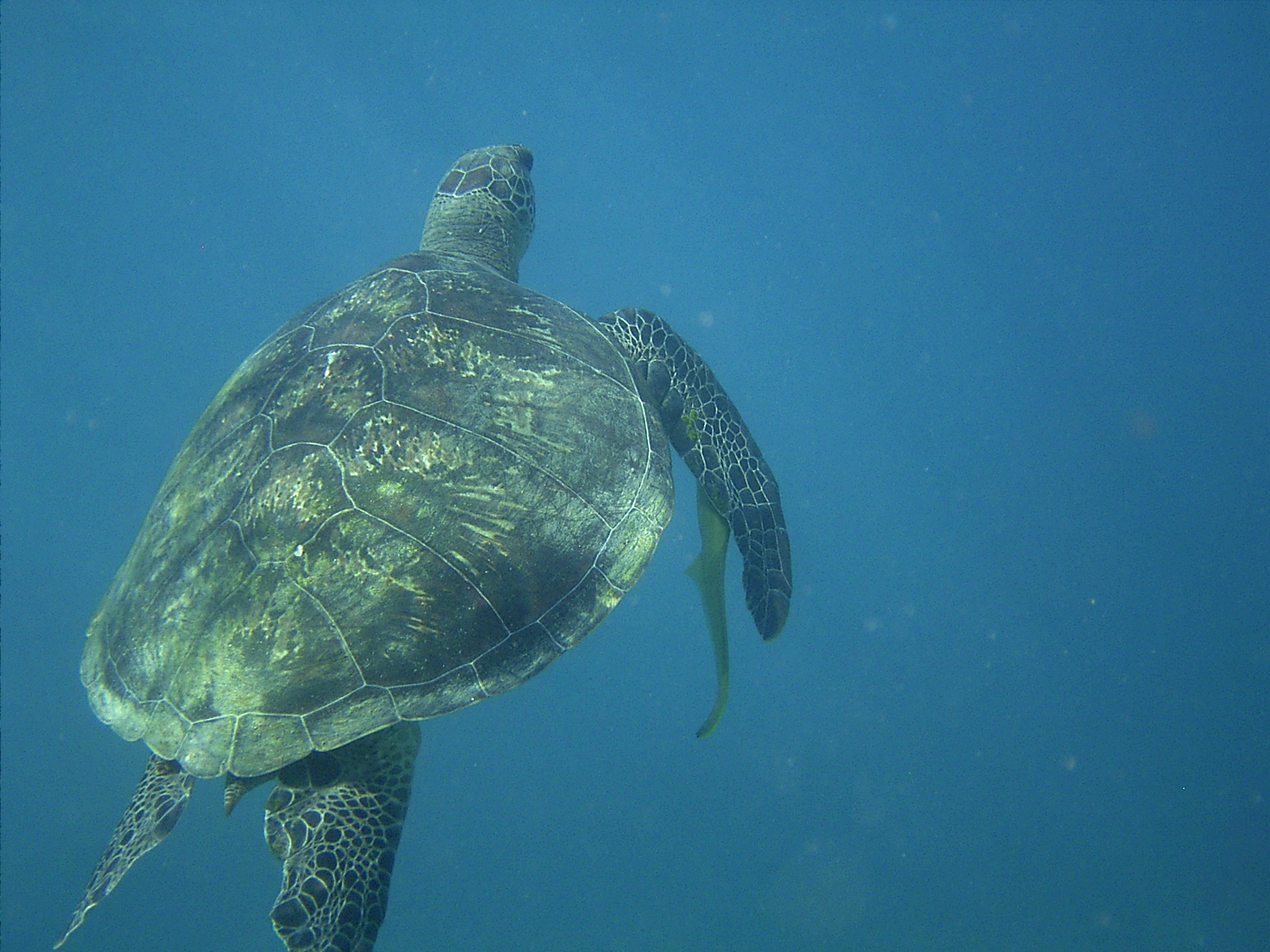 barrierreef-151.jpg