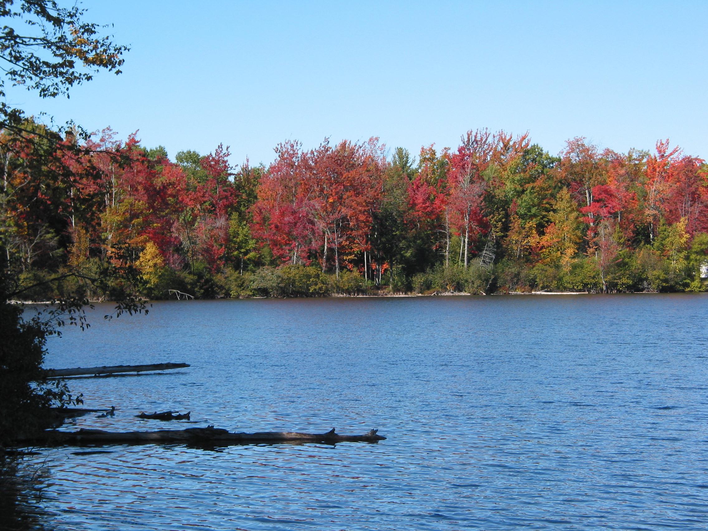 Fall Colors in Northern Michigan