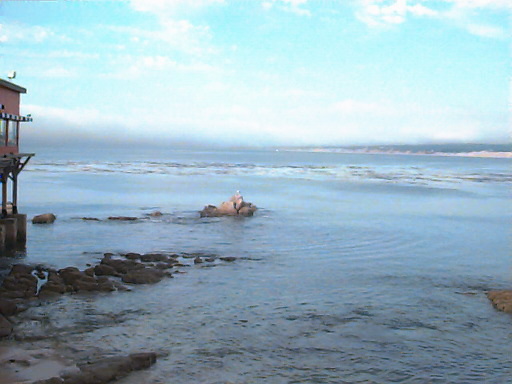 Bay at the Monterey Aquarium Monterey, California