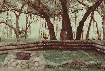 Fla. Seminole War of 1835 - area where Dade and his men were temporarily buried