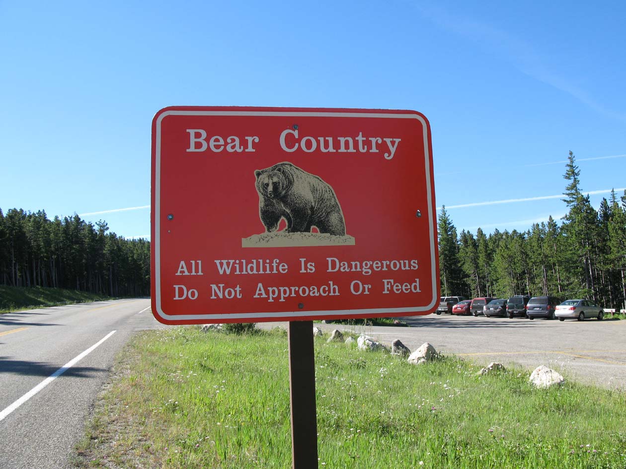 bear country