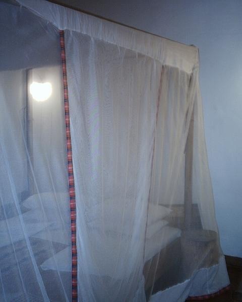 Mosquito netting over bed