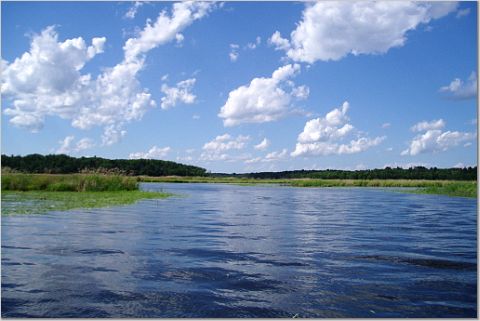 The Mississippi River where it enters Big Wolf Lake.