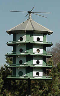 Bird mansion