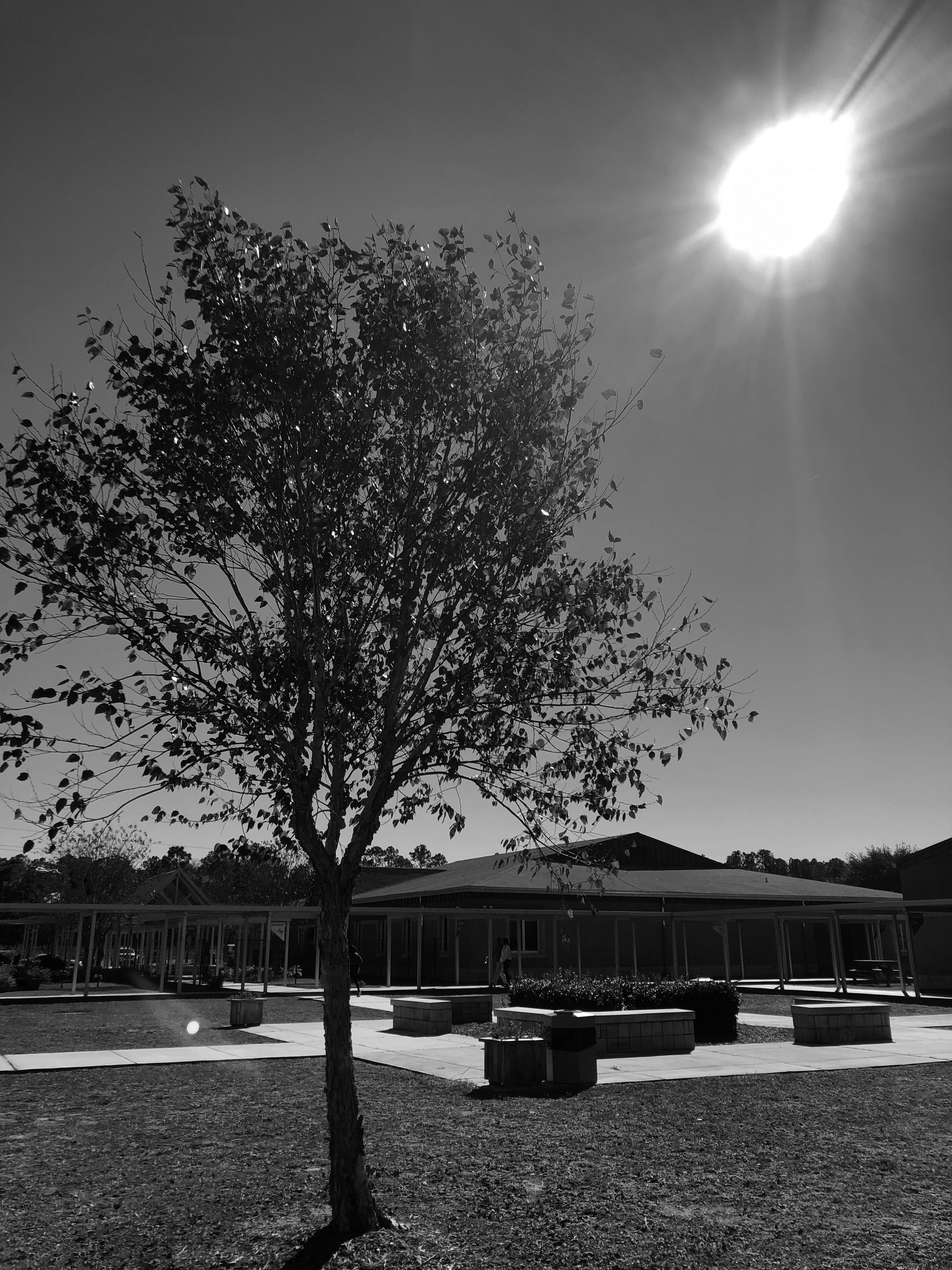 The sun shines on the deserted courtyard during lunch.