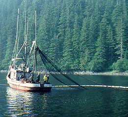 Fishing trawler in Alaska