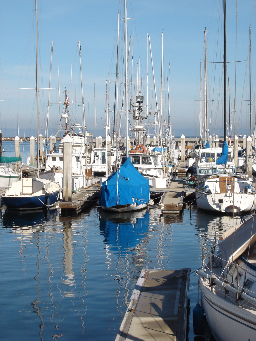 Boats in their docks