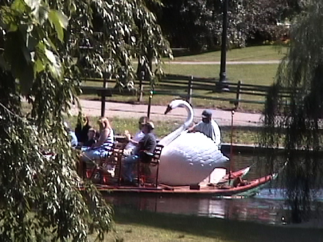 Swan Boat in Boston Public Gardens