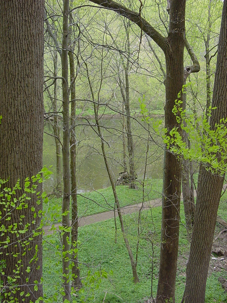 brandywine_state_park_01.jpg