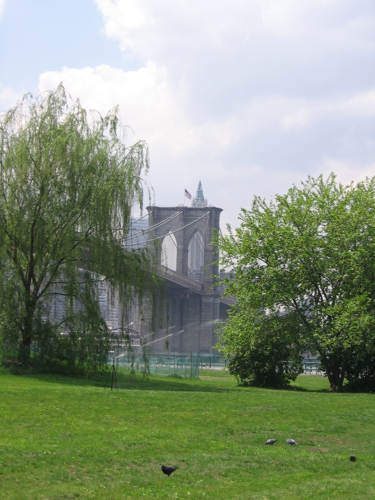 View of Brooklyn Bridge from Empire-Fulton Ferry State Park