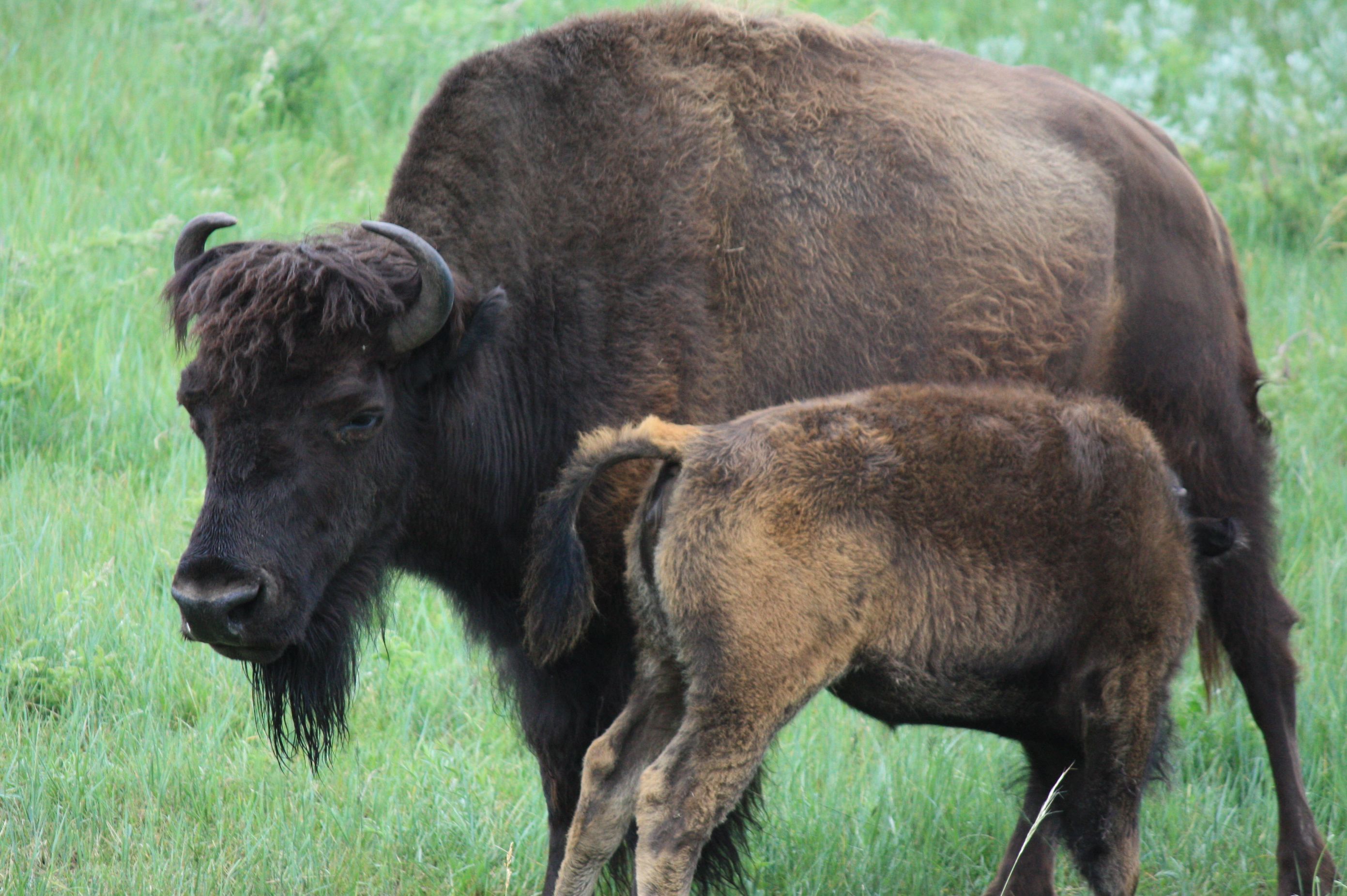 mom and baby