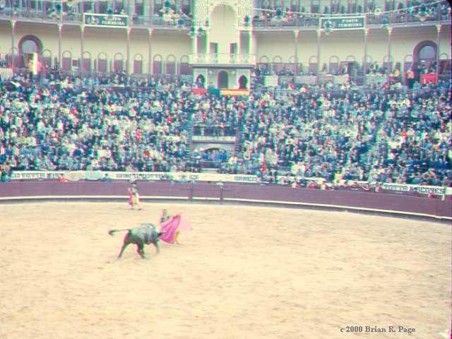 Bullfight