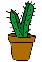 cactus