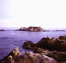 California coastline