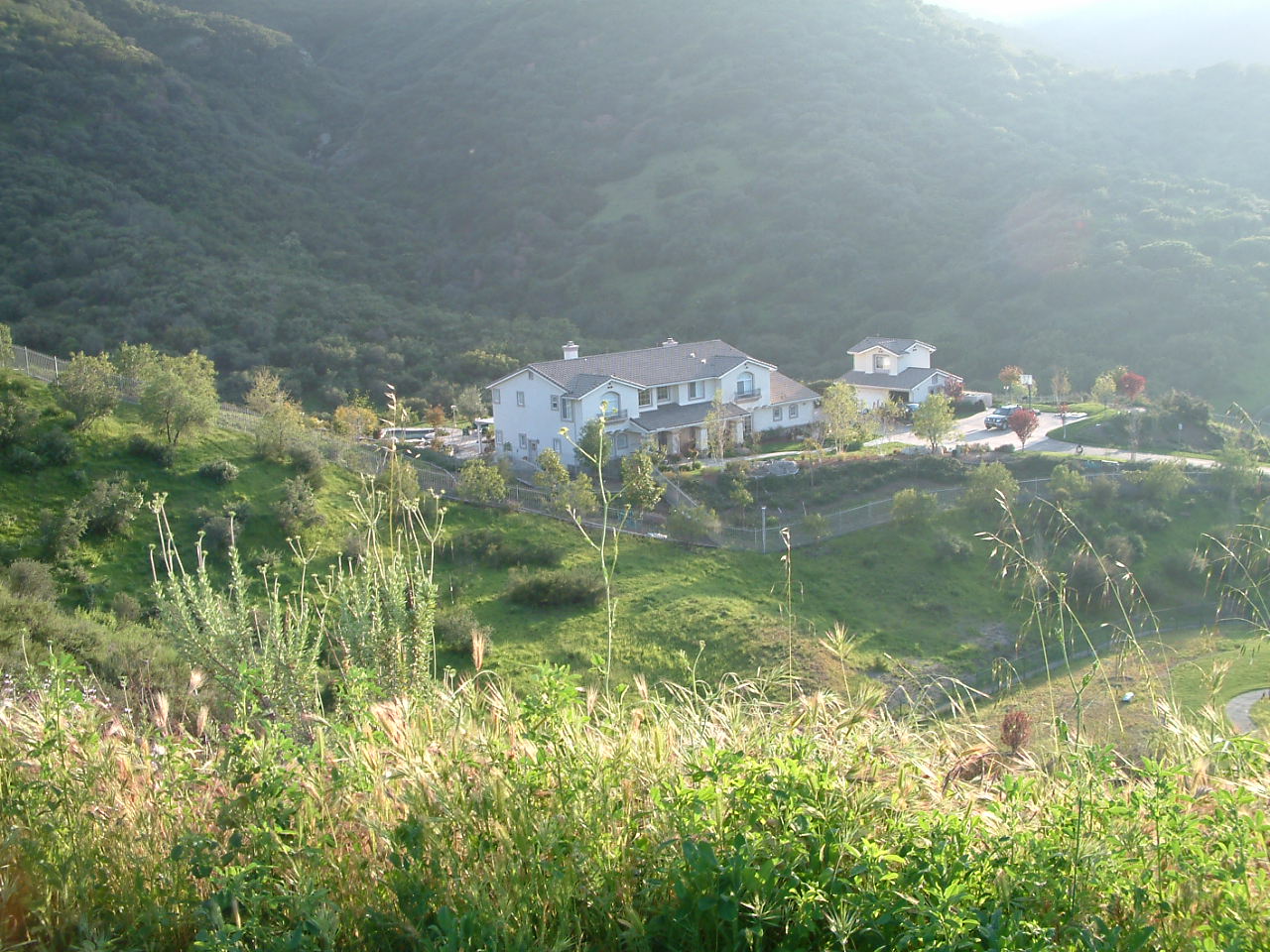 canyondriveca5.jpg